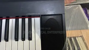 Yamaha Piaggero Np-12