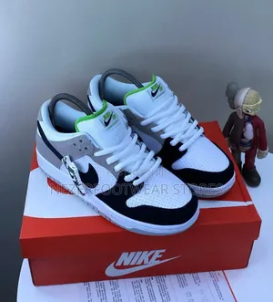 Best Quality Nike Dunk Shoe. 'Tm'