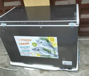 Commercial 300liters Deep Freezer