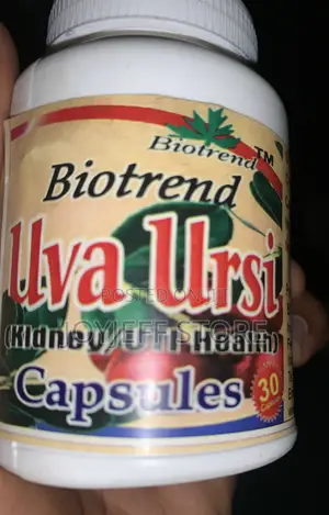Uva Ursi Treatment for Kidney Disease and Kidney Stones
