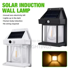 Outdoor Solar Lights