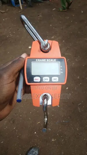 300kg Digital Hanging Scale