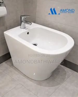 Floor Standing Bidet