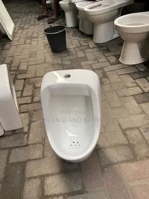 Urinal Bowl