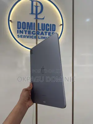 Apple iPad Pro (2022) 256 GB Gray