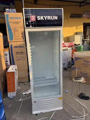 Skyrun Chiller 318 Litres