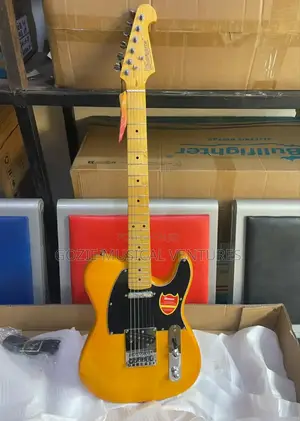 Professional Bullfighter Telecaster Electric Guitar 6 Strings