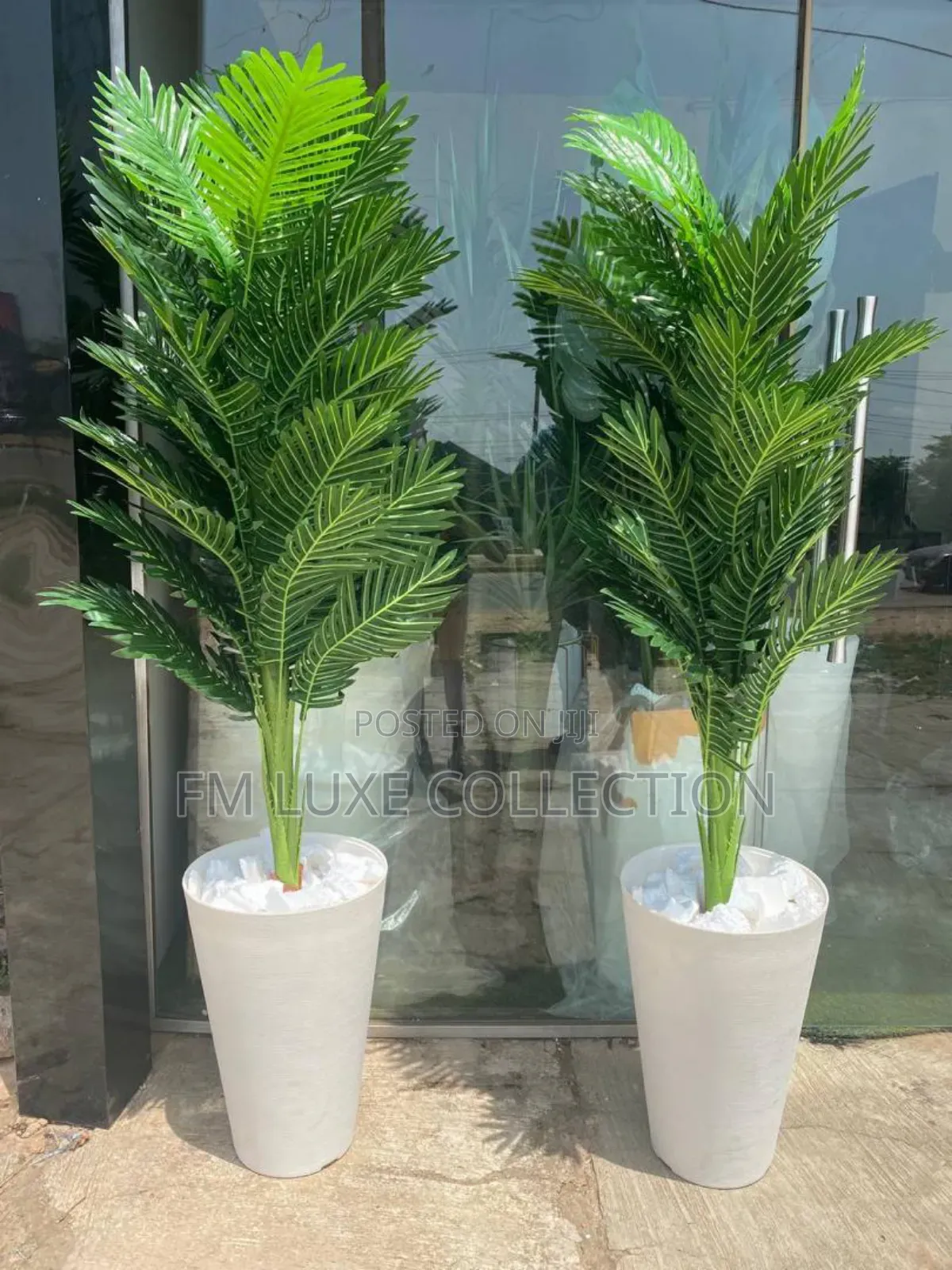 Luxury Potted Plant