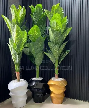 Luxury Potted Plant