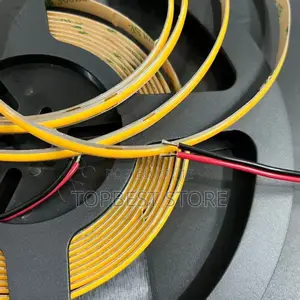Warm White Cob Led Strip 10meter 24v