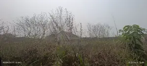 Half Plot of Land for Sale
