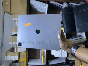 Apple iPad Pro 256 GB Gray