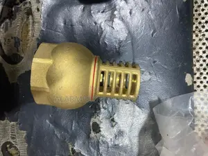 2" Brass Foot Valve With a Strainer.