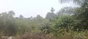 Half Plot of Land for Sale in Olorunda