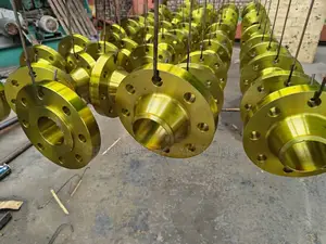 3 by 600 Weld Neck Pipe Flanges