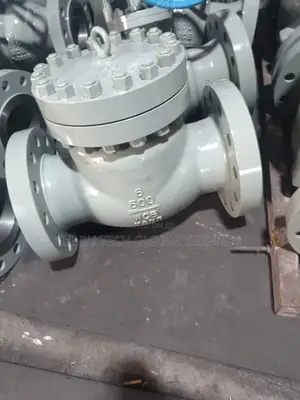 6/6 Steel Swing Check Valve