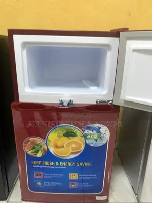 Polystar Pv-Dd203r6lr Double Door Cooling Fridge