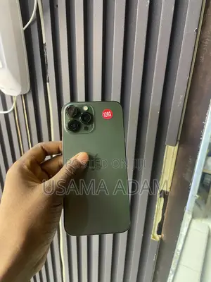 Apple iPhone 13 Pro Max 128 GB Green
