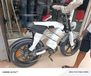 Electric Bike