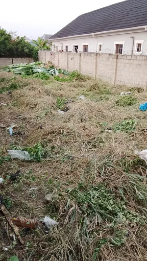 Half Plot of Land A