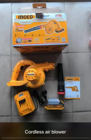 Electric Air Blower