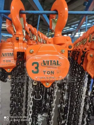 Chains Hoist 3ton