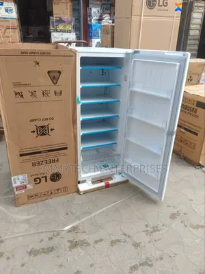 Lg 304l Upright Freezer