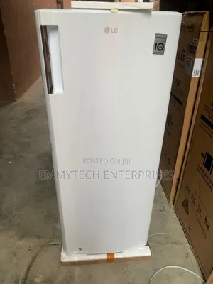 304liters Lg Upright Freezer
