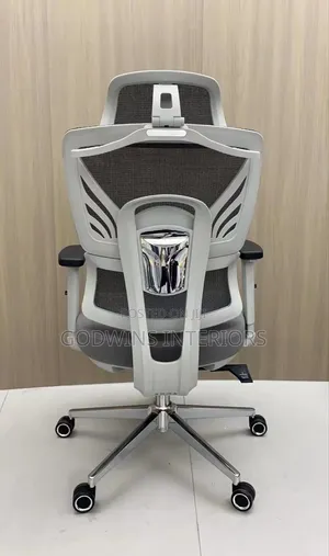 Executive Ergonomic Office Chair (Mesh Back)