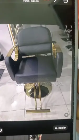 Salon Chair