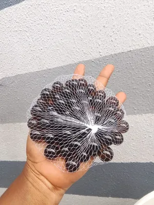 Natural Pebble Stones