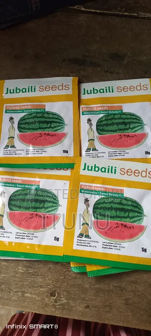 Sweet Melody F1 Watermelon Seed 5g, 10g