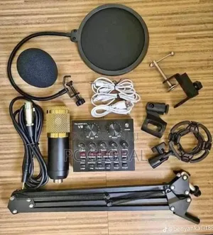 Content Creation and Podcast Mic