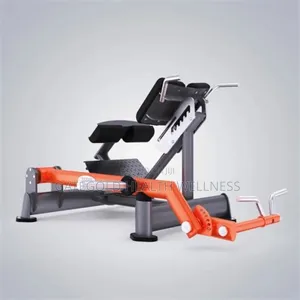 A627 45 Degree Hip Extension