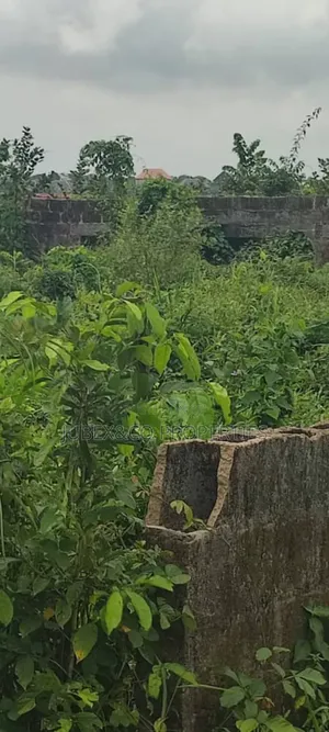 2 Acres of Land at Ibogun Ifo