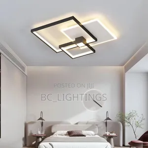 Modern Ceiling Fitting