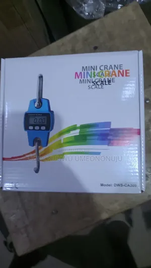 Mini Care Scale