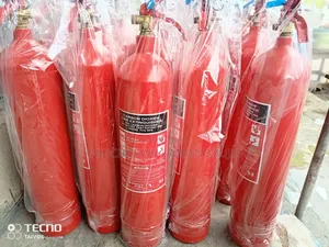 Fire Extinguisher 5kg Co2