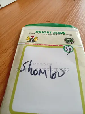 Shombo (Pepper) Open Pollinated