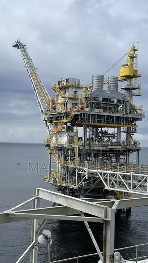 Engineering Feed Detailed Engineering Design in the Oil Gas