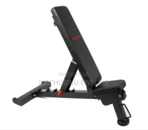 Powerblock 2.0 Adjustable Weight Lifting Commercial Bench Usa