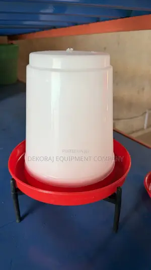 Indian Chick Drinker And Feeders For Better Chick Survival & Growth