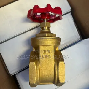 High Pressure Quality Gate Valve Contact Us for More Enquiries