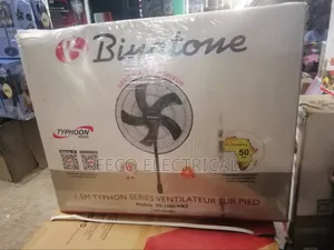 Standing Fan