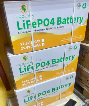 3.6kwh 12v Ecolion Lithium Battery