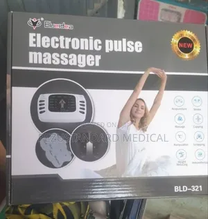 Electronic Pulse Massager