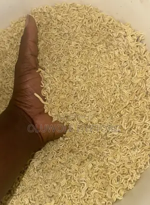 Dog Noodles