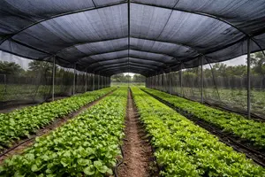 Amatropics Round-Wire Shade-Net 4m X 100m 50% Shade Black Color