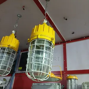 Explosion Proof Dropping Light