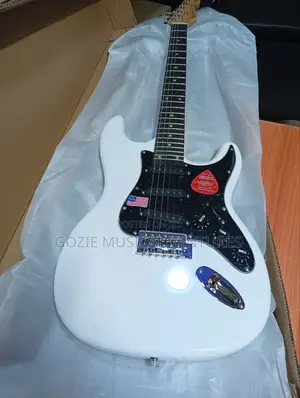 Original Fender Stratocaster Electric Guitar 